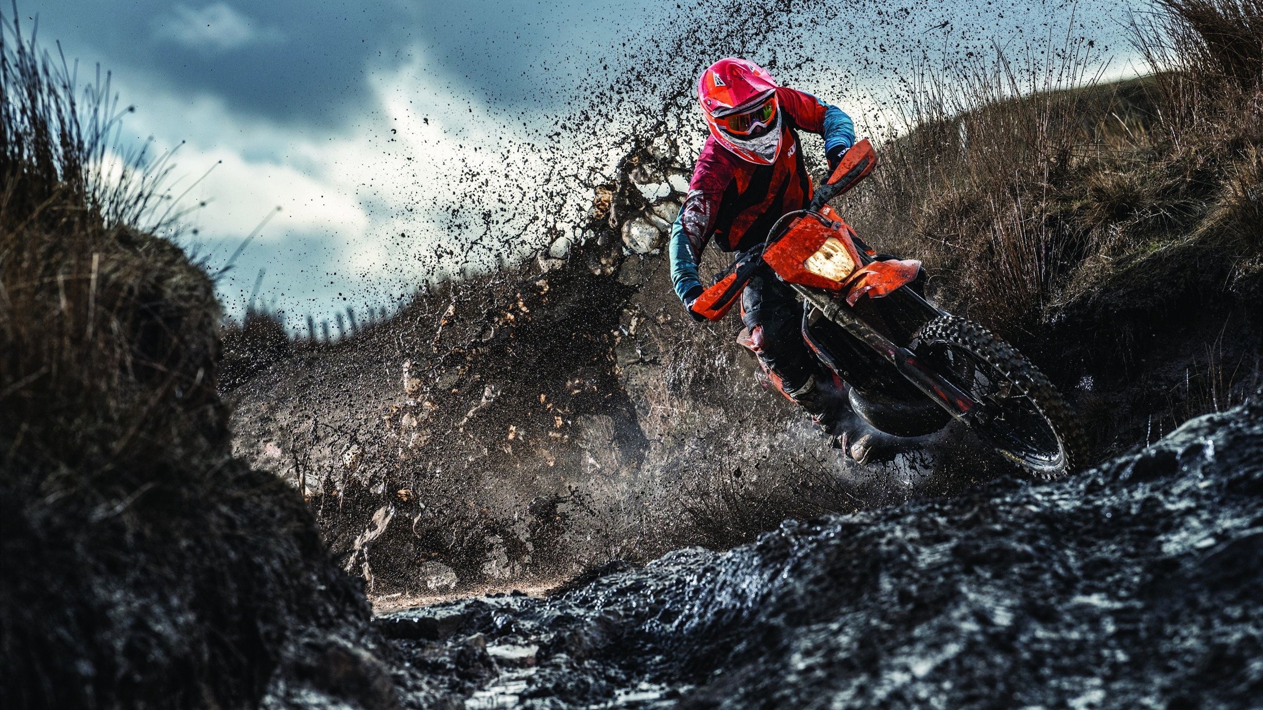 小贾伦·杰克逊，掘金淘汰赛的沉默杀手，如何用防守与关键球击碎凯尔特人